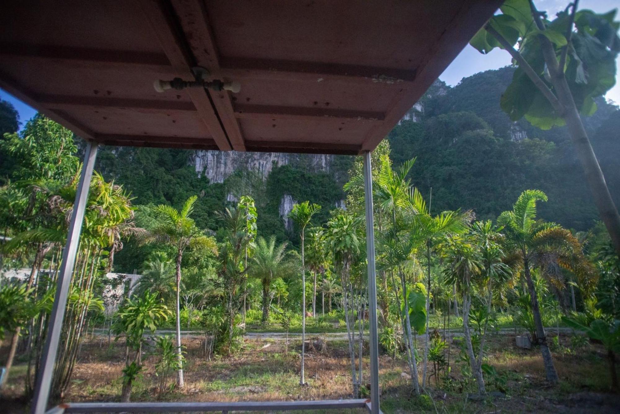 The Camper Khao Sok 营地 *